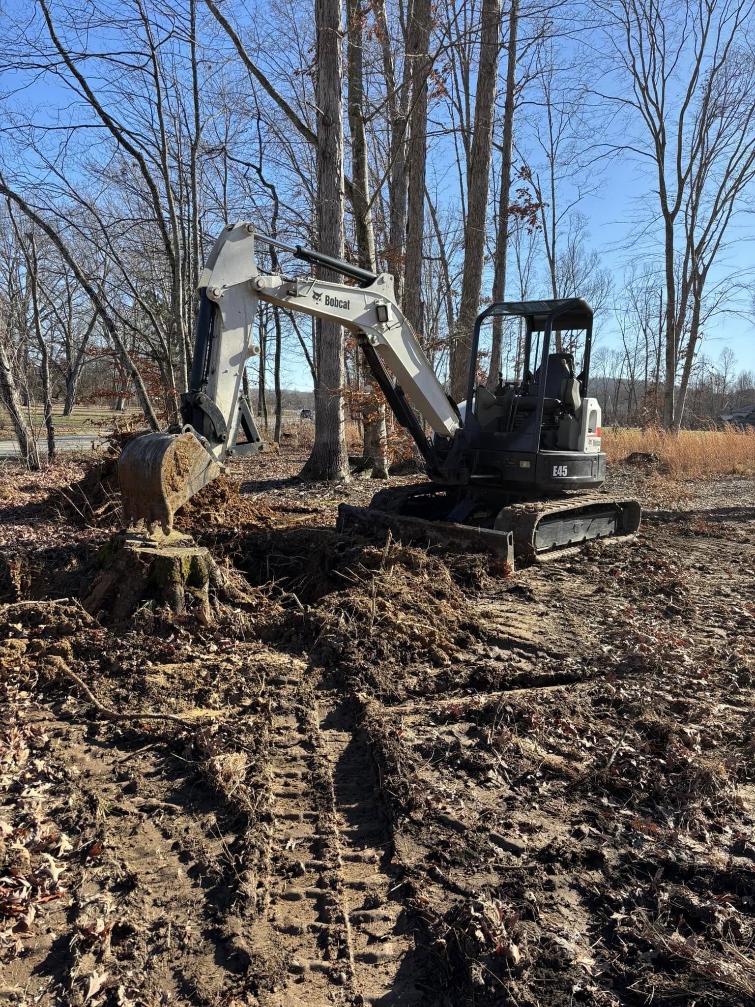 Stump Removal