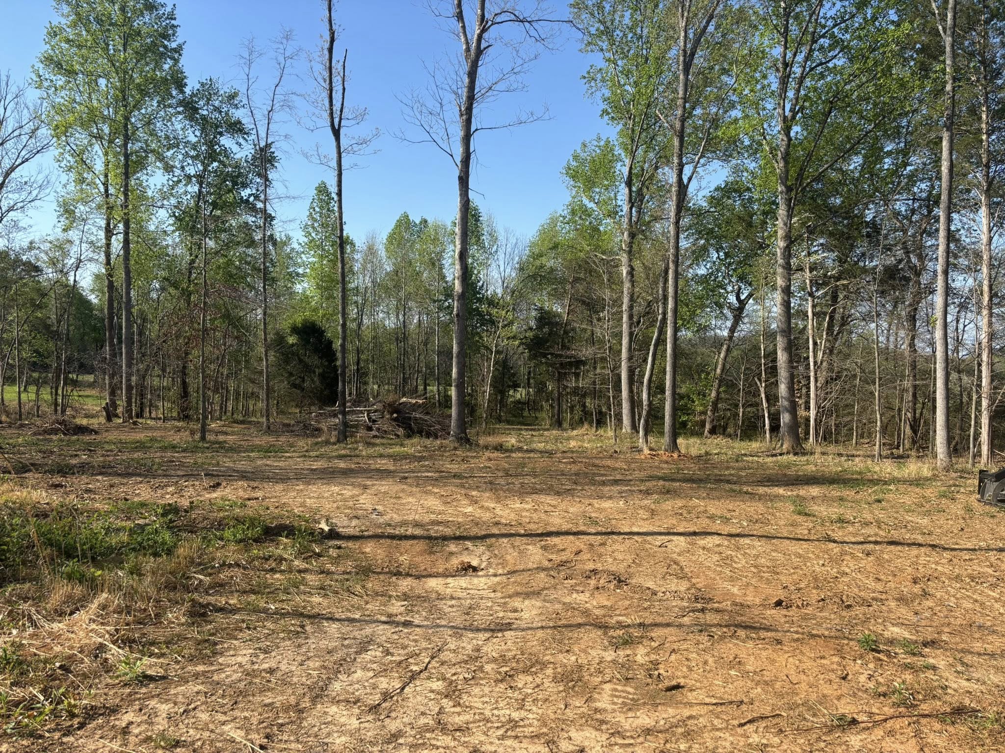 Land Clearing & Brush Removal