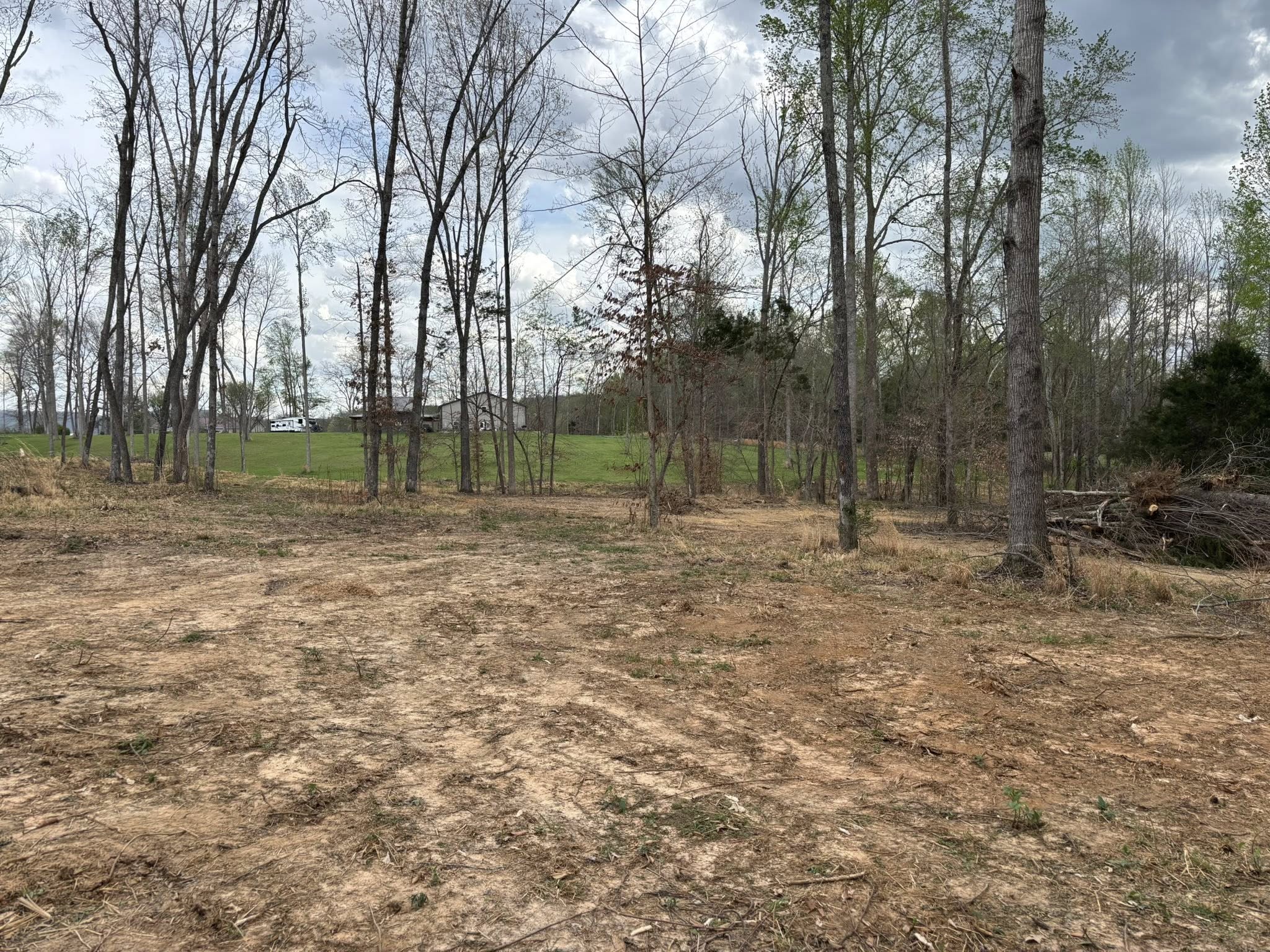 Brush and tree clearing